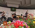 Trio Krikula beim Bras. Nachmittag 09